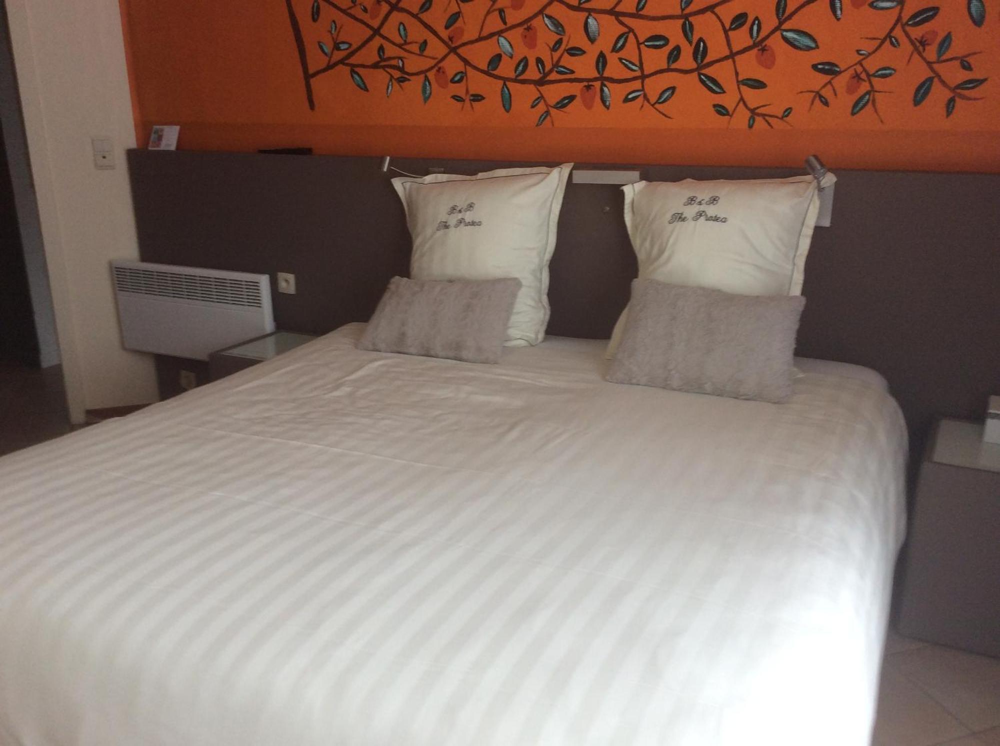 B&B The Protea Zonnebeke Buitenkant foto