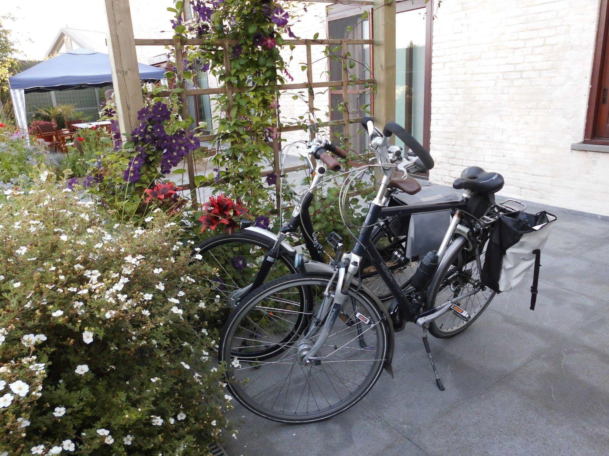 B&B The Protea Zonnebeke Buitenkant foto